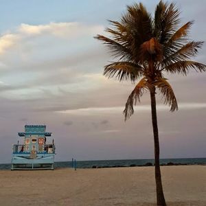 Meet your Posher, Wilmer